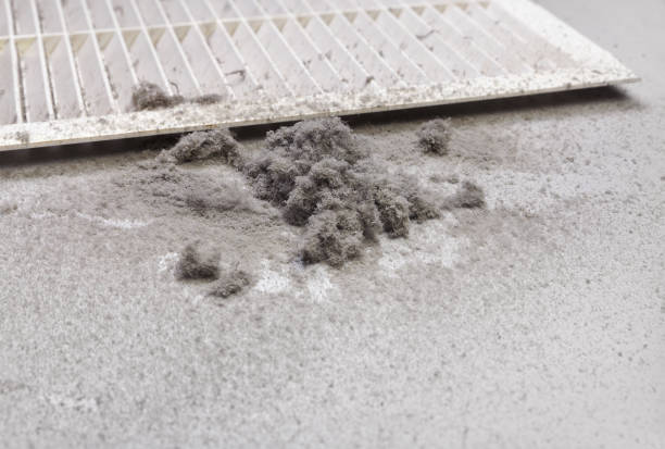 Best Commercial HVAC Duct Cleaning  in Berkshire Lakes, FL